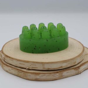 Savon Aloe Vera Chia